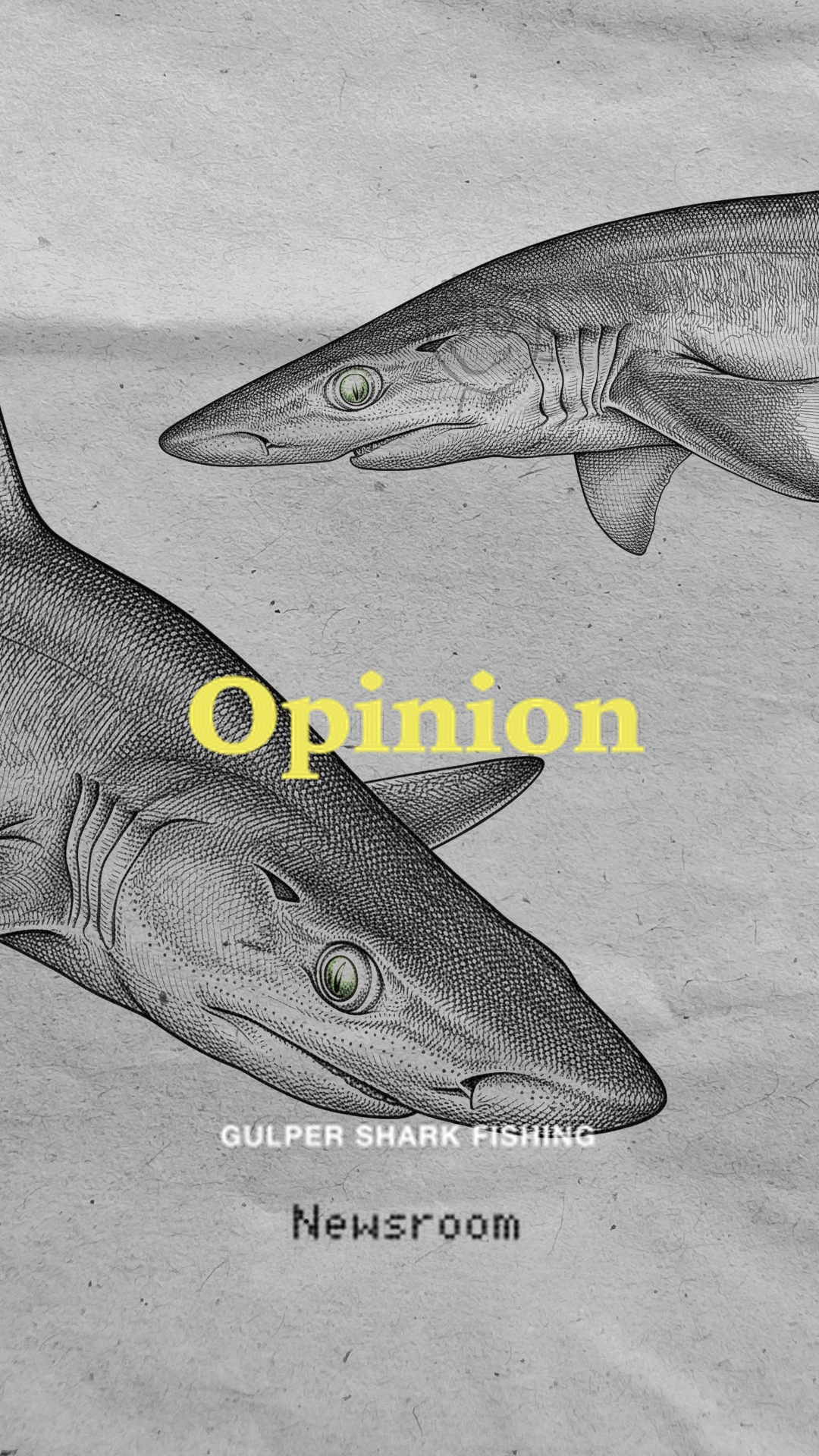 Gulper Shark Fishing