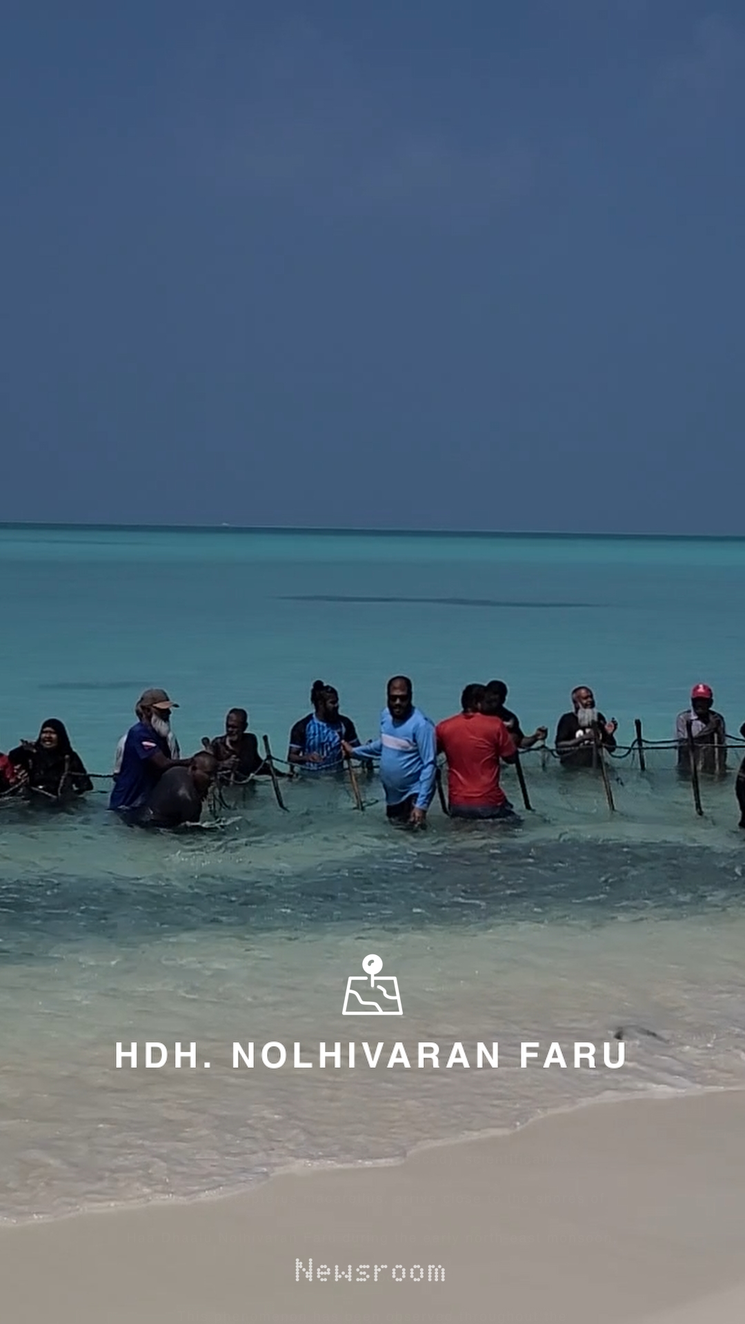 Schools of Mackerel Scad, arrive close to the shores of HDh Nolhivaran Faru